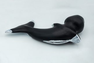 Tailraiser : Orca