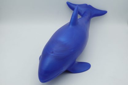 #1526 XXL Orca