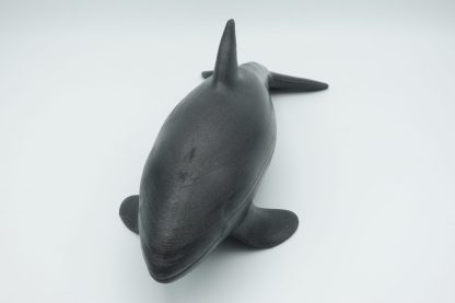 #1561 Medium Orca