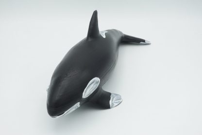 #1599 Medium Orca