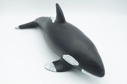 #1636 XL Orca