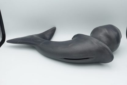 #1817 XXL Tailraiser : Orca