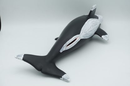 #1905 XL Humpca (Girl orca)