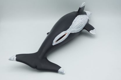 #1931 XL Humpca (Girl orca)