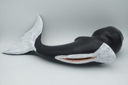 #2114 XXL Tailraiser : Orca