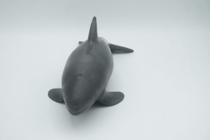 #2441 Medium Orca
