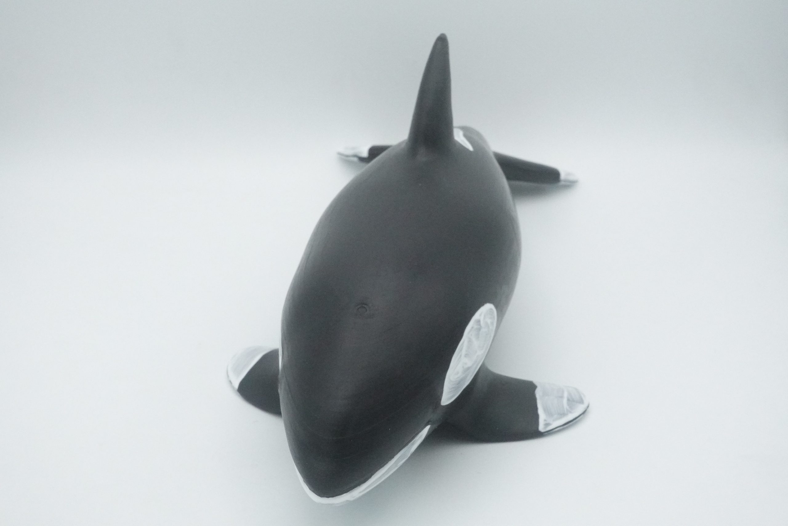 #2795 XL Orca