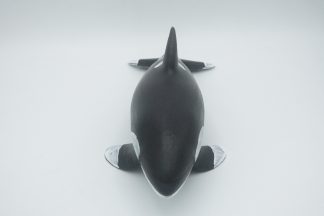 #2797 Medium Orca