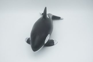 #2869 Medium Orca