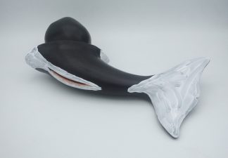 #2958 Large Tailraiser : Orca