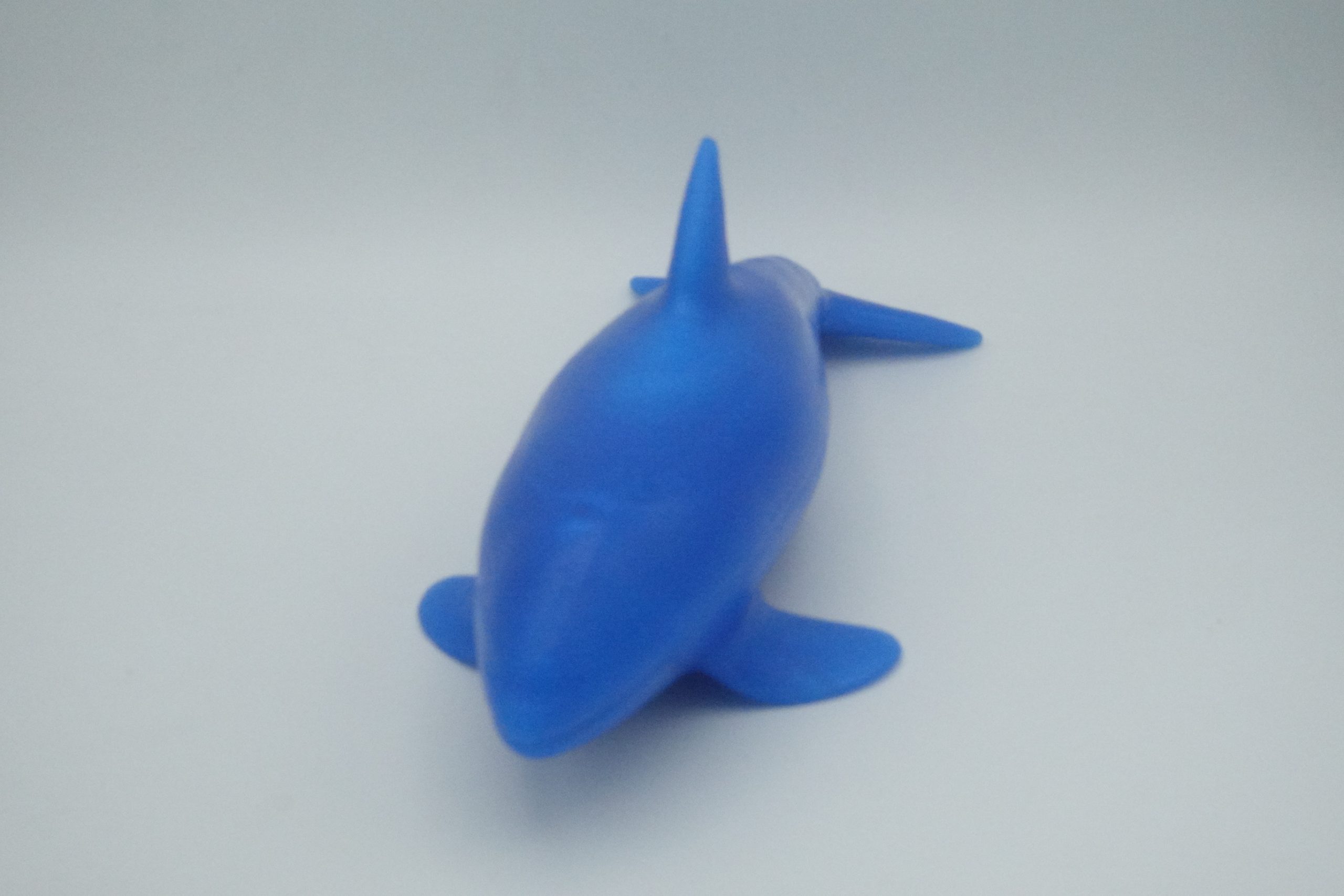 #2996 Medium Orca